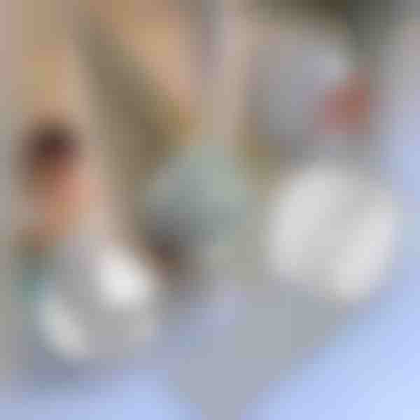 Taśma naprawcza do moskitier | INSECTAPE