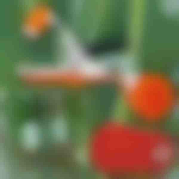 Profesjonalny zszywacz do roślin | PLANTBRAND