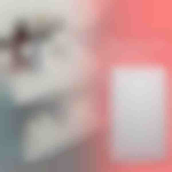 Rozszerzalna półka do przechowywania | SHELFEXPEND