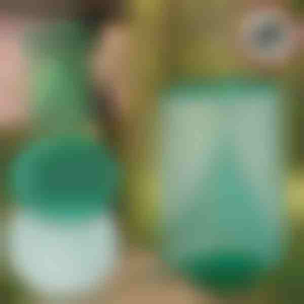 Wisząca Pułapka na Muchy i Owady Wielokrotnego Użytku | INSECTA