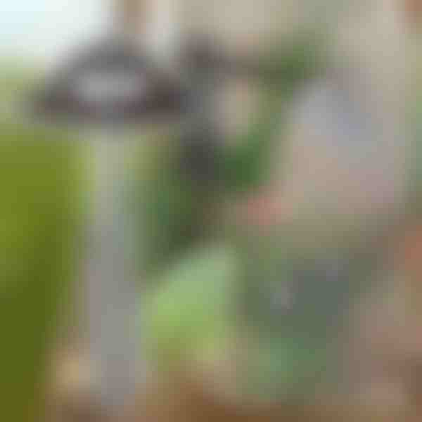 Motyka ogrodowa do łatwego usuwania chwastów | GRASSOE