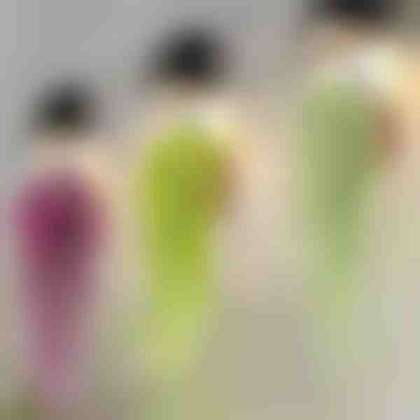 Dekoracyjna roślina wisząca | IVYORA