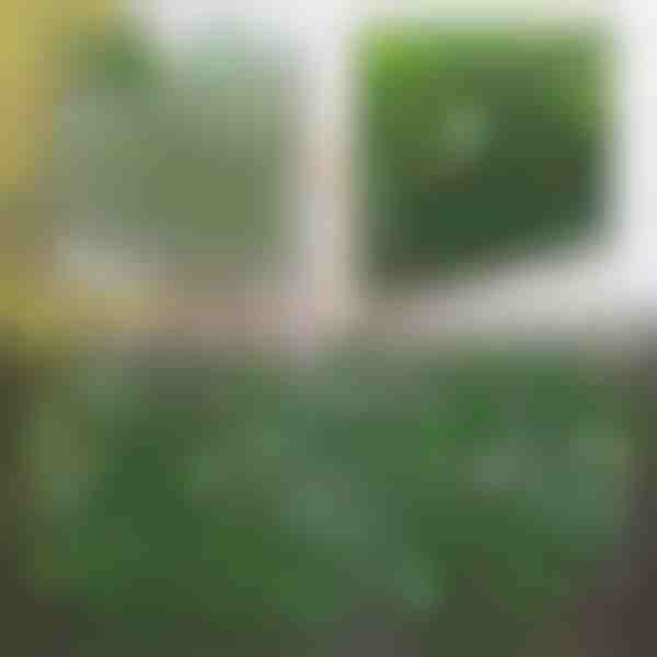 Dekoracyjny i praktyczny płot na taras i do ogrodu | GREENFENCE