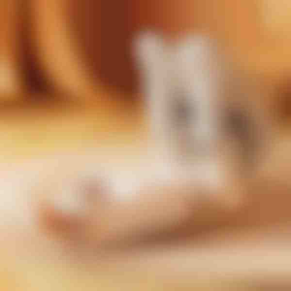 Szybka suszarka do butów | DRYVATUS