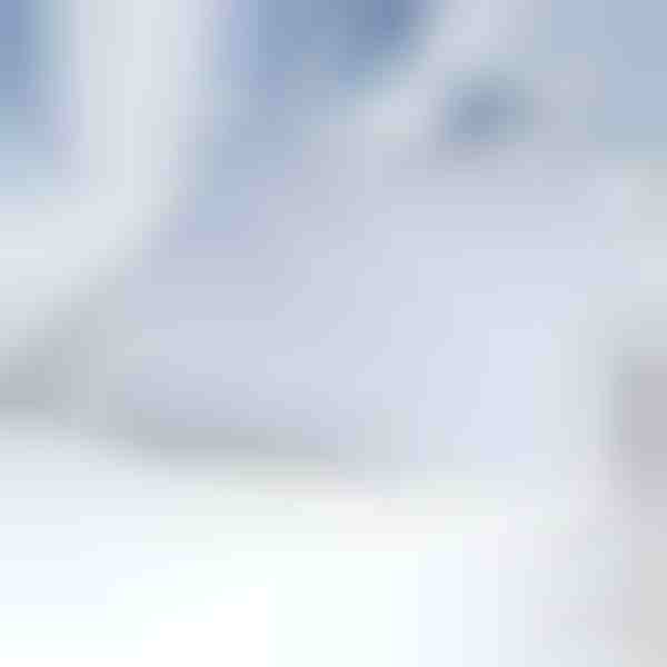 Magnetyczna osłona na przednią szybę | FROSTCOVER