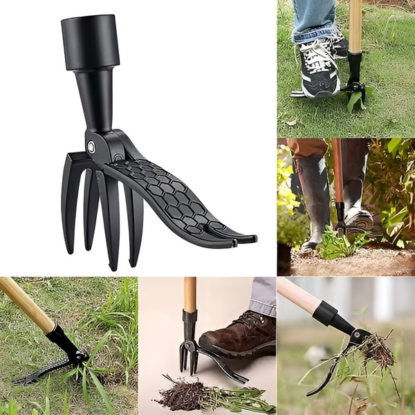 ROOTNIK-3831127559648