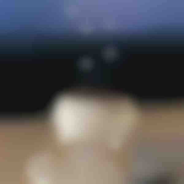 Kojący dyfuzor aromatu | MEDUSAMIST