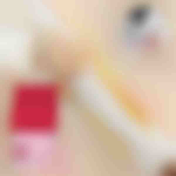 Chusteczki do usuwania plam (20 szt.) | STAINIX